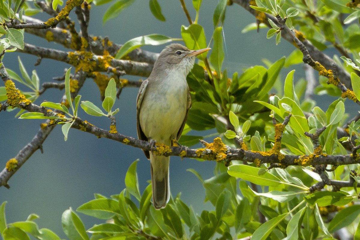 Dave Grant tweet media