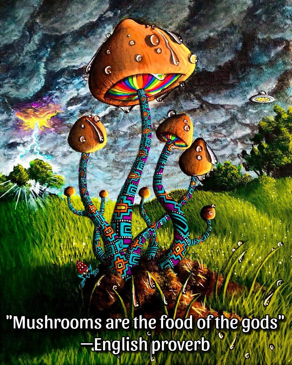 Love this mushroom proverb 🍄 Art by @RussellKingart