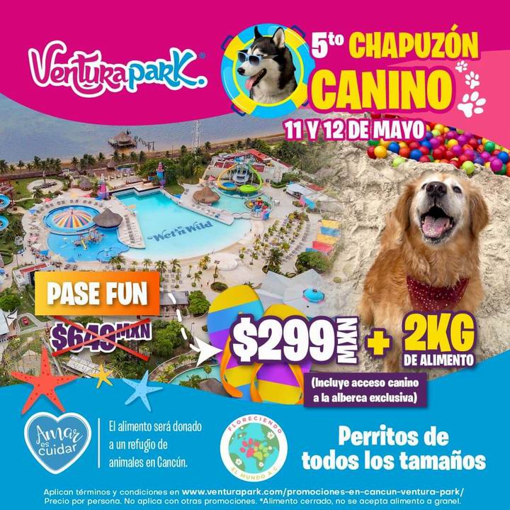 🐶 5° Chapuzón Canino Un día para que los perritos disfruten de Ventura Park mientras ayudan a Floreciendo El Mundo A.C. facebook.com/floreciendoelm… 📆 Sábado 11 y domingo 12 de Mayo ⌚ 9:00 AM 📍 Ventura Park facebook.com/venturaparkcan…