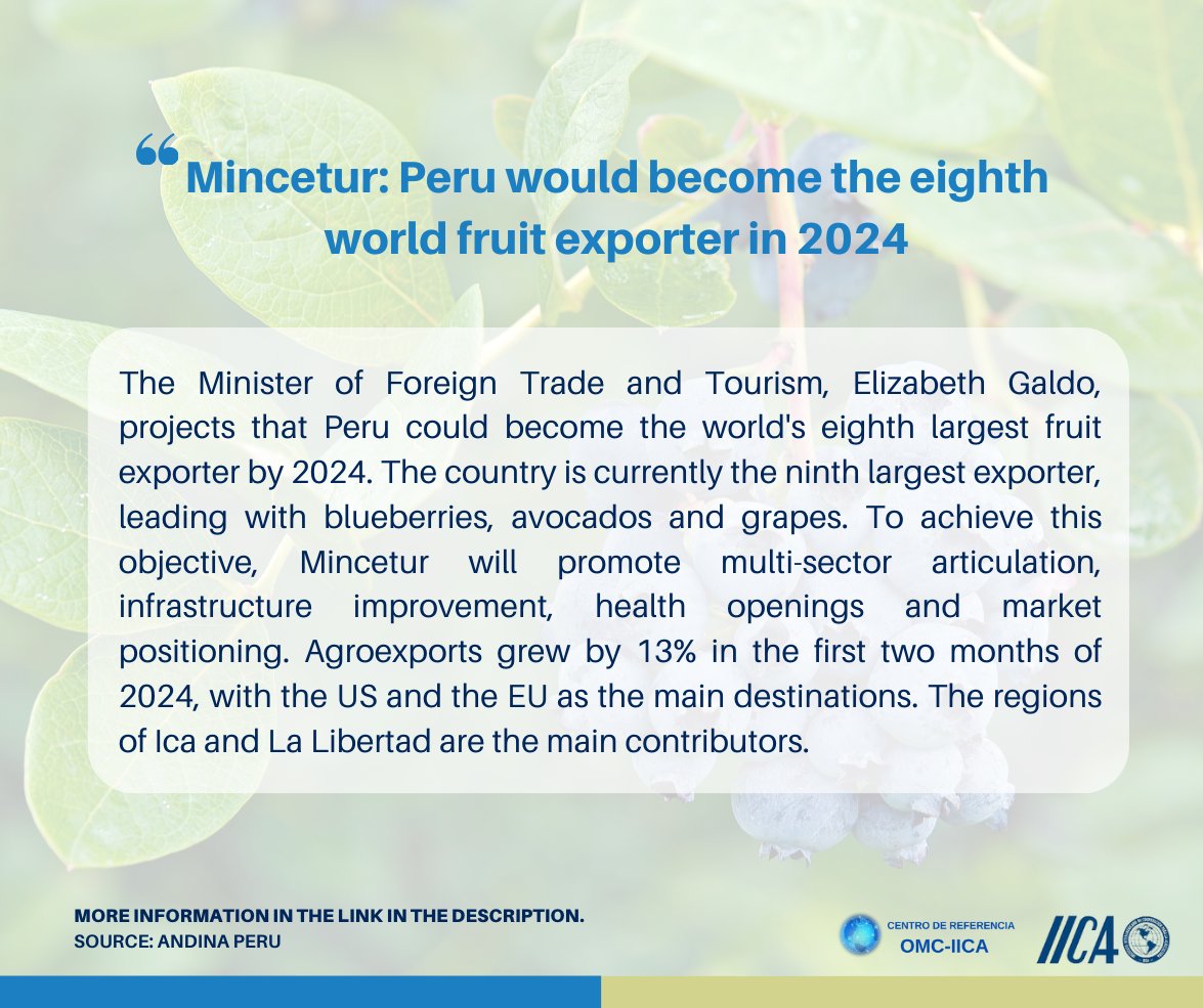 🌍 Peru, on the path to conquer the global fruit market! 🚀According to Minister Elizabeth Galdo, @Mincetur, by 2024 they could be among the top 8 exporters in the world. A boost for the economy and farmers! 🍊🍇 #Exports #Agriculture #Trade

📌More info: shorturl.at/ipH48