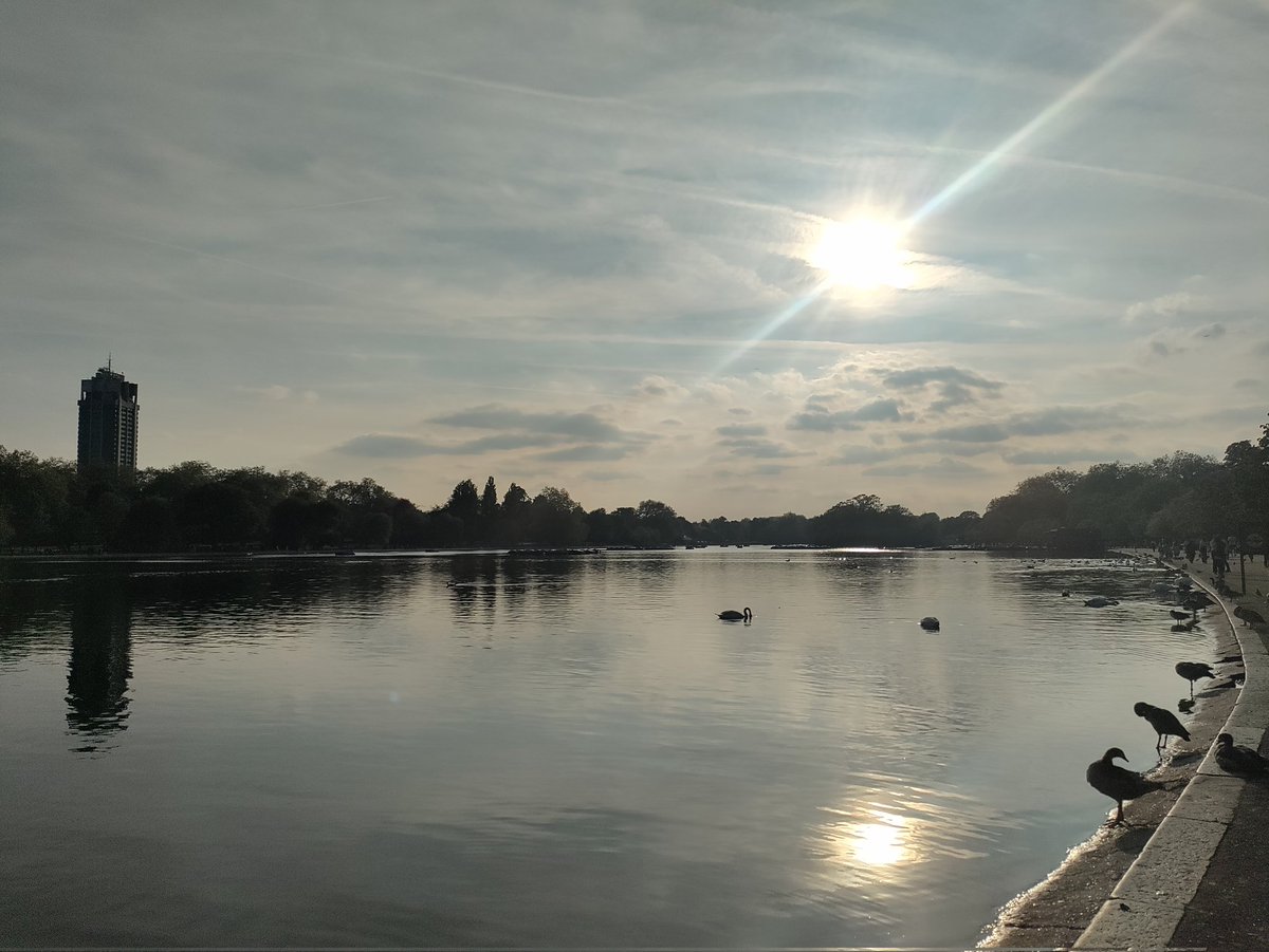 When you make the Serpentine Lake in Hyde Park part of your commute 😍🌞😎