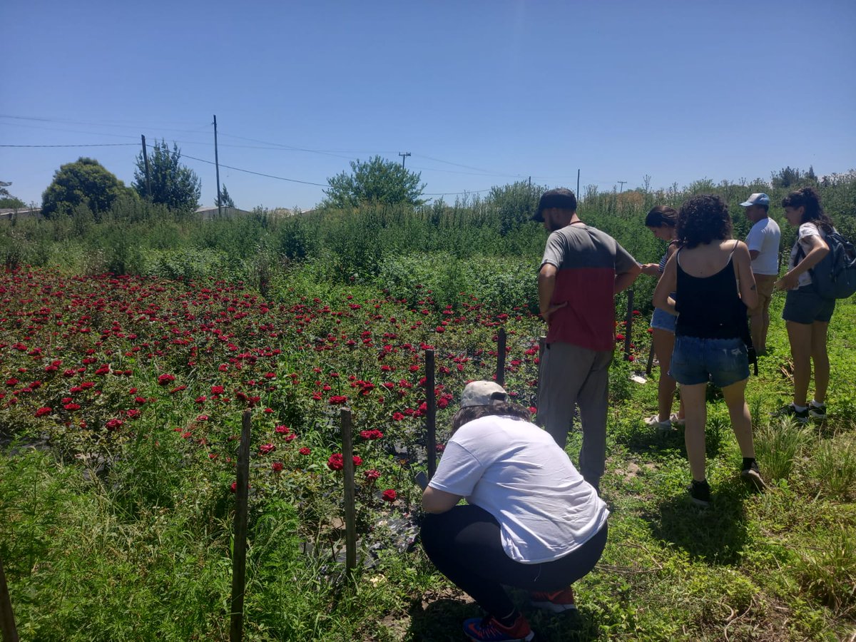 Agricultura Familiar tweet media