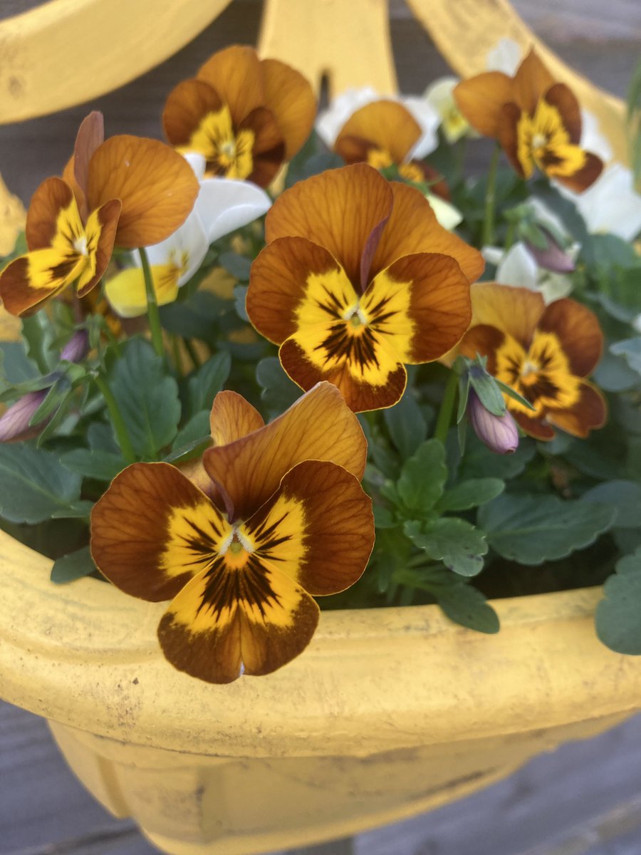 Kate Bod tweet media