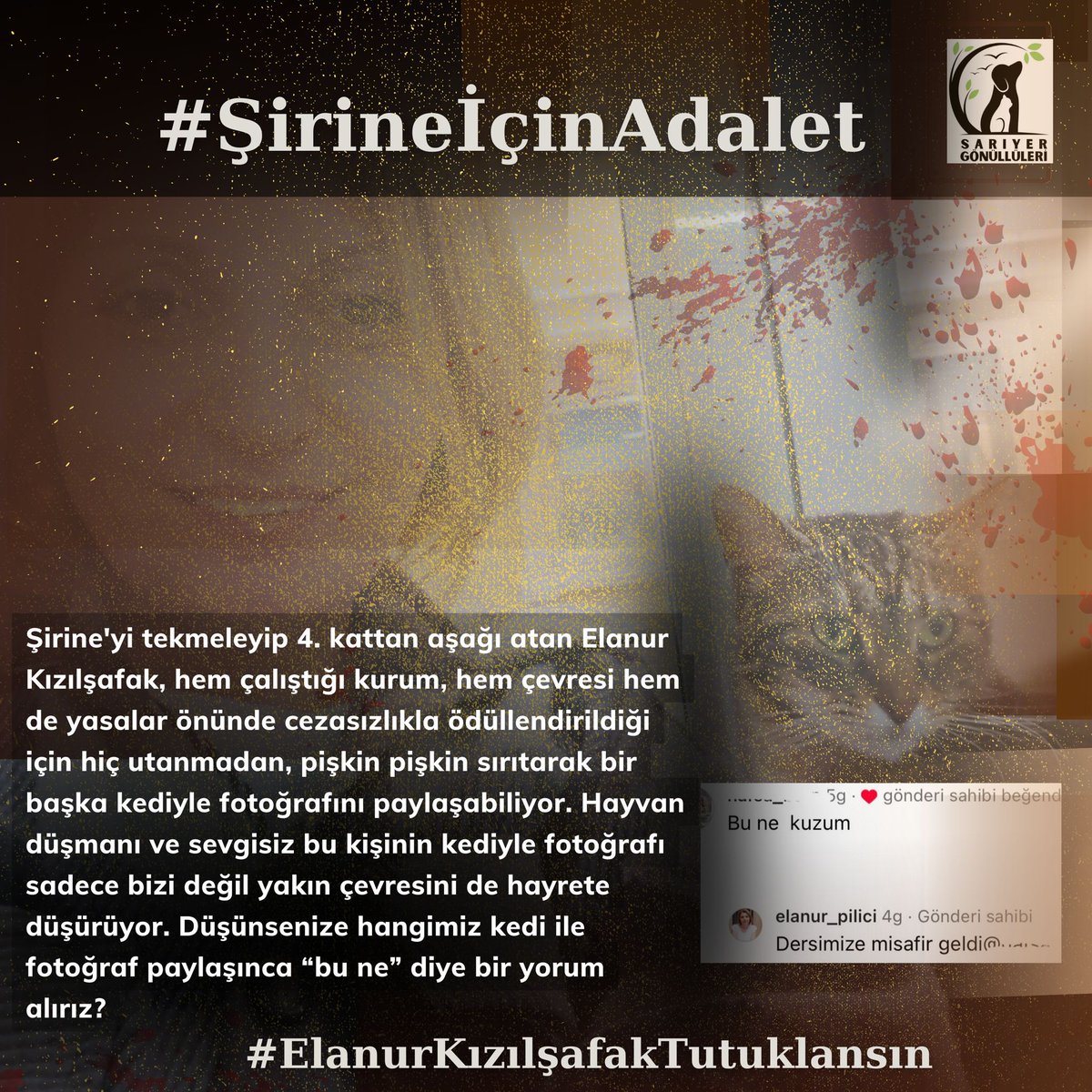 #ElanurKızılşafakTutuklansın Adalet istiyoruz. Caydırıcı ceza istiyoruz. #şirineiçinadalet