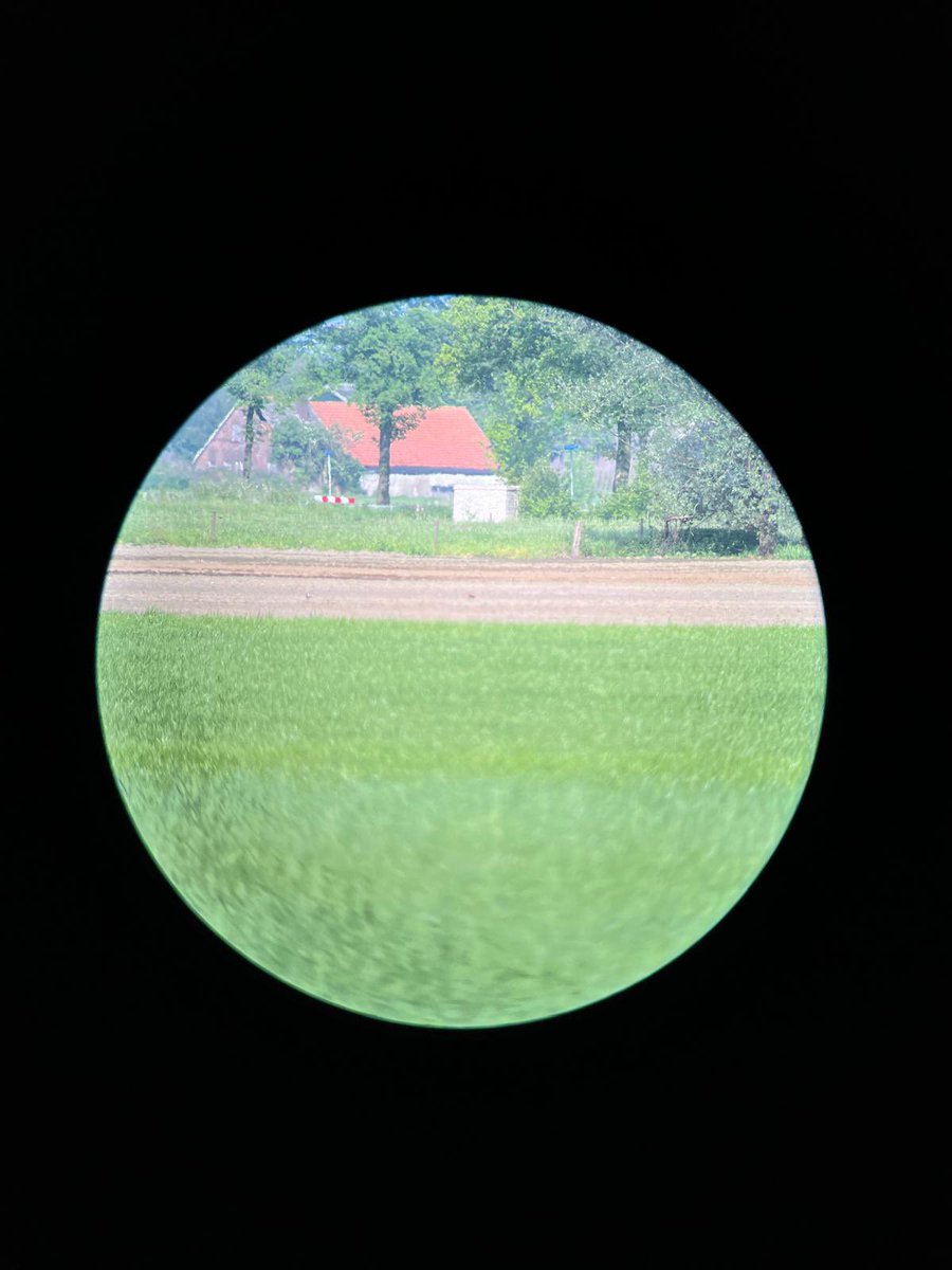 Met Frans op pad in het Beltrumse veld. Samen in weilanden gezocht naar grutto nesten. Maar uiteindelijk zagen we door de telescoop dat ze zaten te broeden op bouwland met uien. Vreemde vogels daar in de Achterhoek. 😜