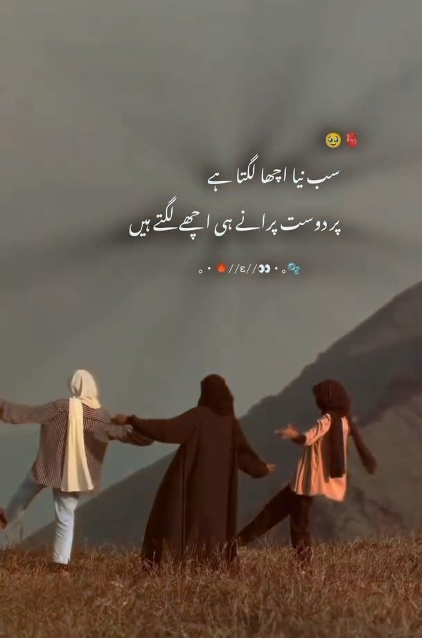 💗💗💗
#getoutofrafah #บางกอกคณิกาEp1 #SRHvsLSG