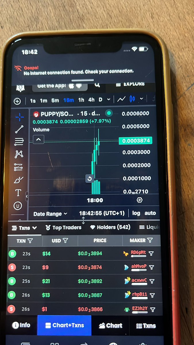 Puppy on Solana wow 🤩 sold out on Pump.fun in 60 seconds and is not just surviving but thriving on #raydium $Puppy #x1000 #hotmeme #memecoin -#dogmeme