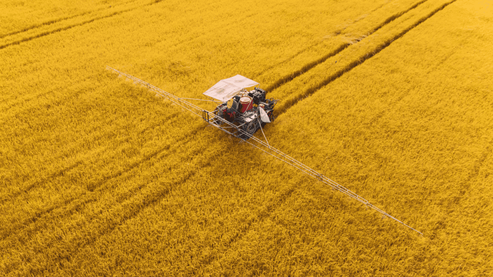 Brazil's #rice export market has ground to a halt in the midst of devastating floods that have claimed dozens of lives and pummeled infrastructure in Rio Grande do Sul. 🌾Full story: okt.to/nK4tky #brazil #weather #agriculture