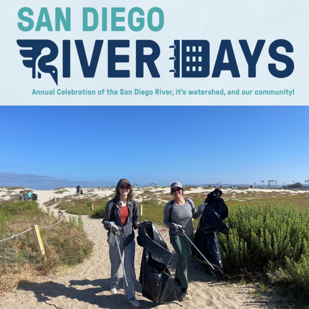 San Diego Coastkeeper (@sd_coastkeeper) on Twitter photo San Diego Coastkeeper and Surfrider San Diego invite you to a cleanup at OB Dog Beach and Estuary to support <a href="/SanDiegoRiver/">San Diego River Park Foundation</a> Park Foundation’s 21st Annual River Days!🌿🌊
Join us on Saturday, May 11 from 9 a.m.-12 p.m. Learn more and sign up. sdcoastkeeper.org/event/ocean-be… San Diego Coastkeeper and Surfrider San Diego invite you to a cleanup at OB Dog Beach and Estuary to support <a href="/SanDiegoRiver/">San Diego River Park Foundation</a> Park Foundation’s 21st Annual River Days!🌿🌊
Join us on Saturday, May 11 from 9 a.m.-12 p.m. Learn more and sign up. sdcoastkeeper.org/event/ocean-be…