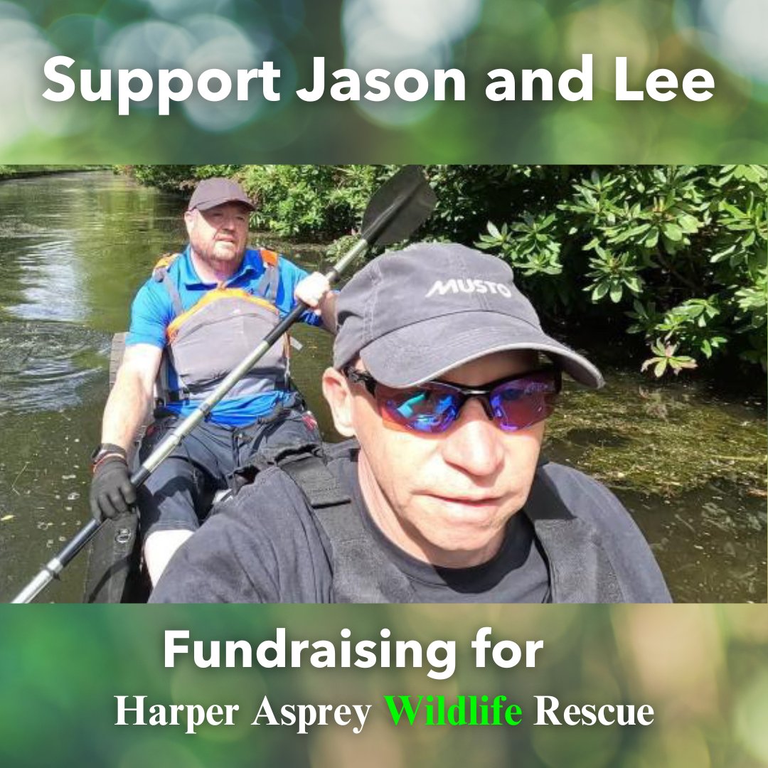Our wildlife Heroes Jason and Lee will be kayaking the length of the Basingstoke canal, a whopping 32 miles over 2 days to fundraise for our emergency wildlife hospital @HAwildlife! Their 2 Old Blokes Kayaking fundraiser needs your support 💚🦊 👉 ow.ly/TJu550RzfgT