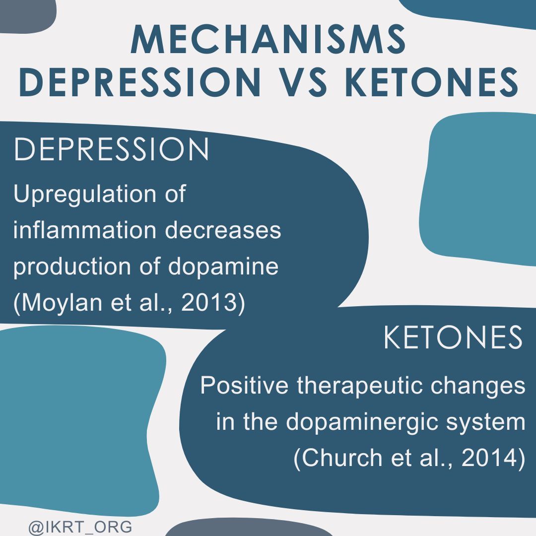 Next up in mechanisms of #depression vs #ketones, decreased dopamine production in depression but therapeutic changes noted via ketosis. #KMTmechanisms #metabolicpsychiatry #ketoformentalhealth #ketodiet #MentalHealthMatters