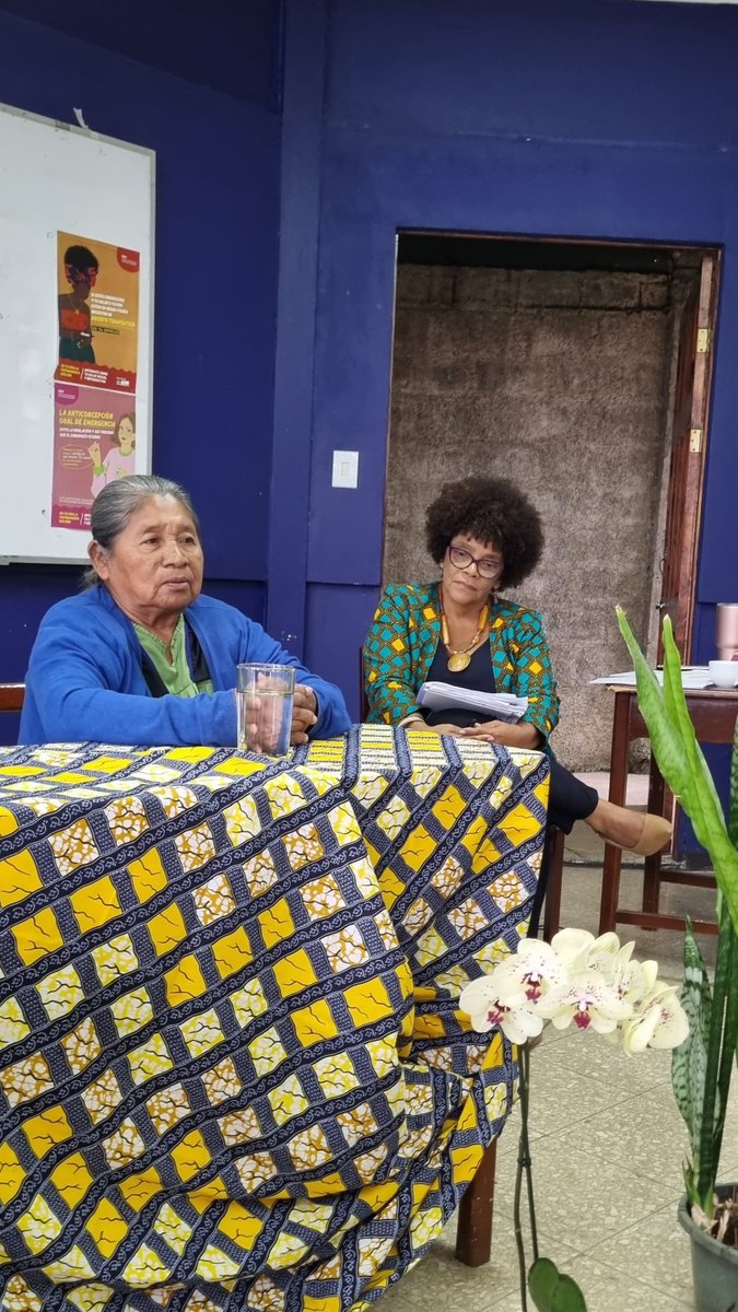 DEI_LatAm's tweet image. ✨¡Continúan las reflexiones en el TST24.!✨

Hoy conversamos sobre la relación entre Democracia, Autoritarismos y Colonialismo con la Líderesa indígena ngöbe Luisa Bejarano Montezuma, la Dra. Silvia Regina de Lima Silva directora del DEI y el Dr. Bernal Herrera Montero.
#tst24