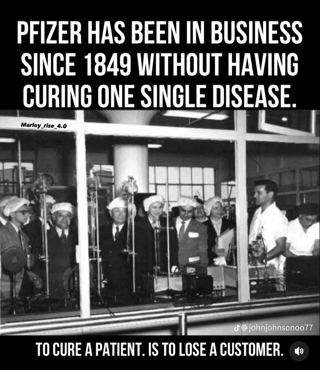 Big Pharma is not your friend. 
 Charles Pfizer & Company was founded in Brooklyn in 1849 by cousins Charles Pfizer and Charles Erhart, whose first product was an antiparasitic called santonin that treated intestinal worms. They achieved early success by developing citric acid.…