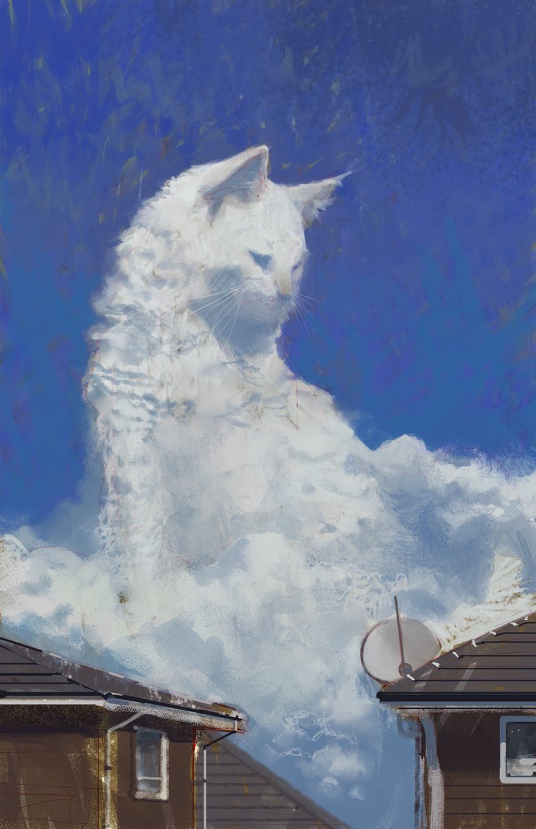 Cumulus cat