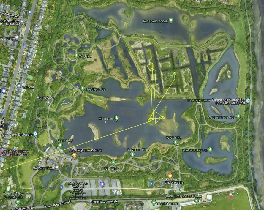 Kane Brides tweet media