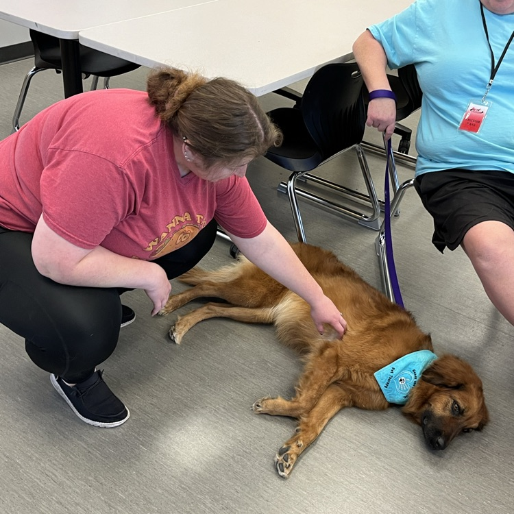 BlackmoreBears's tweet image. Our PTO set up Pet Therapy for our staff for #TeacherAppreciationWeek! Such a fun way to start the day - and before that PTO also treated us to breakfast! 🐻🐶 #BEfamily #PartOfThePride