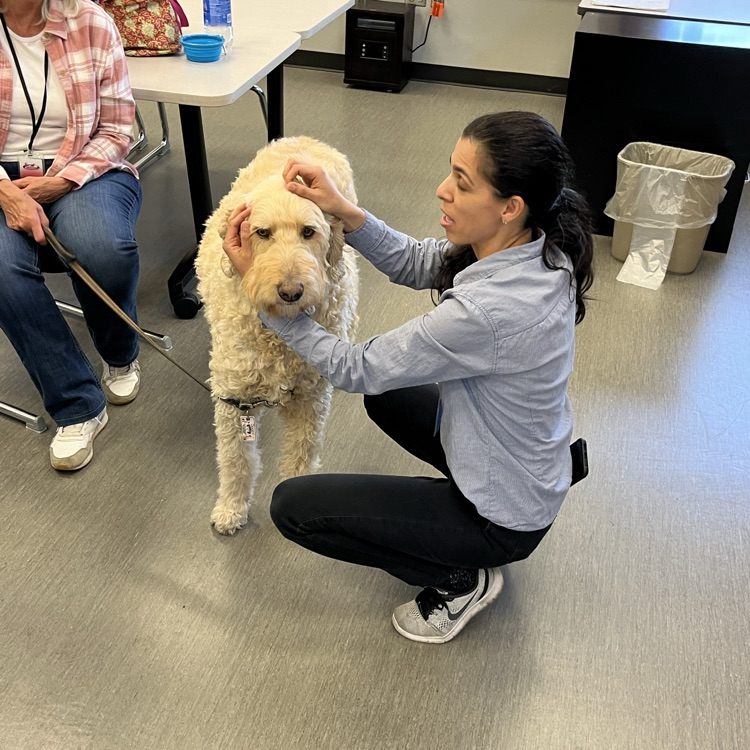 BlackmoreBears's tweet image. Our PTO set up Pet Therapy for our staff for #TeacherAppreciationWeek! Such a fun way to start the day - and before that PTO also treated us to breakfast! 🐻🐶 #BEfamily #PartOfThePride