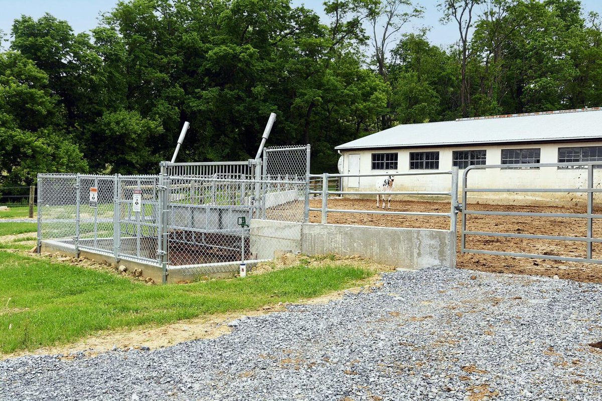 A partnership between our members, @allianceforbay, and corporate partners have grown to serve more than 800 member farms in the Chesapeake Bay watershed.

loom.ly/4f_hQbQ