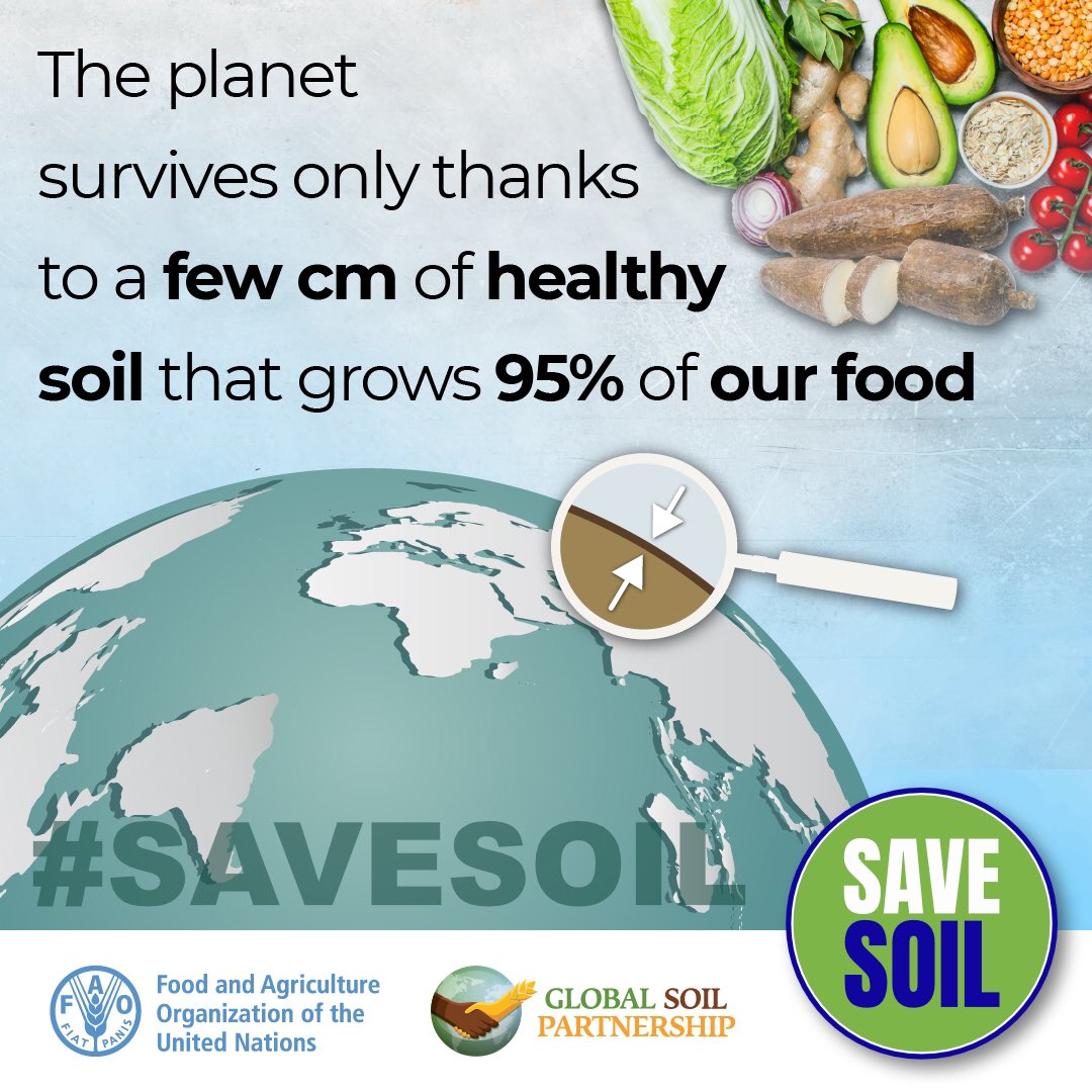 #SaveSoil #savesoilwave #SaveSoilSaveLife #savesoilmovement @SadhguruJV @cpsavesoil #WorldUnitesForSoil  #COP28  #COP28UAE