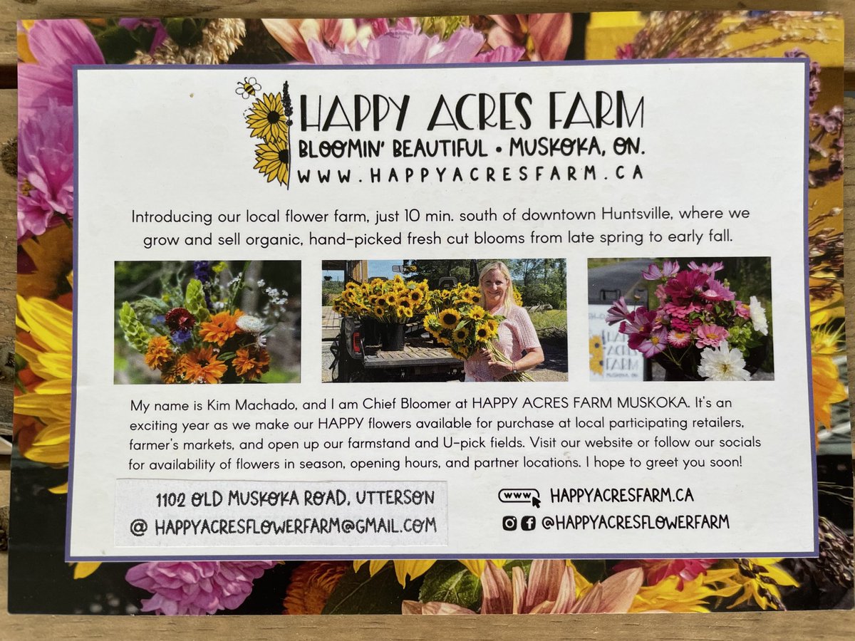 I love visiting Happy Acres Flower Farm especially when summer sunflowers are in full bloom! 🌻🌻🌻
Kim is so friendly & knowledgeable; look for her in Dwight (Wed.’s) & Baysville (Fri.s) at their Farmers’ Markets! ⁦@Muskoka411⁩