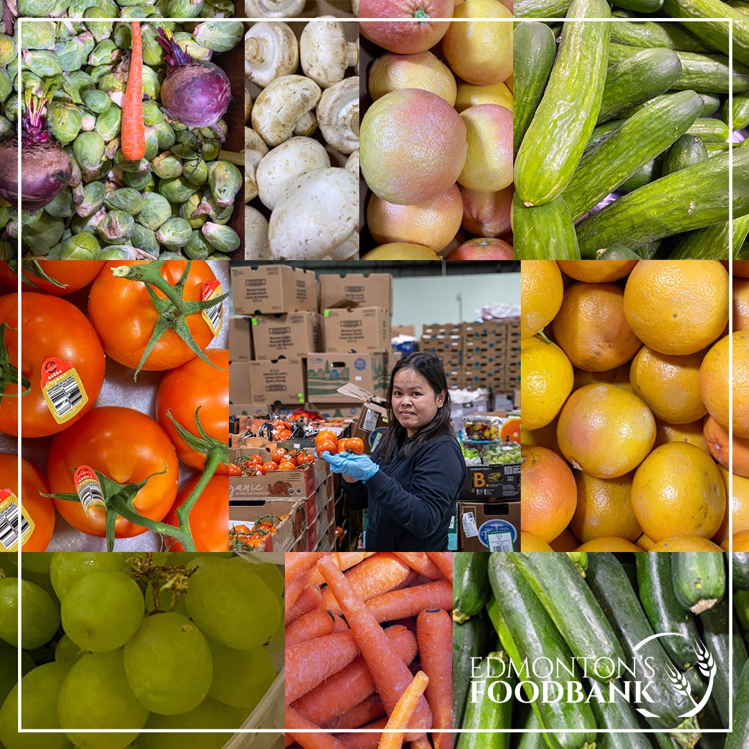 These fresh fruits and vegetables were recent industry donations. Our fantastic volunteer, Princess, made sure our clients received a wide assortment in their hampers. Please consider our Plant, Grow, Share A Row program this year! Thank YOU! loom.ly/QCONhdI