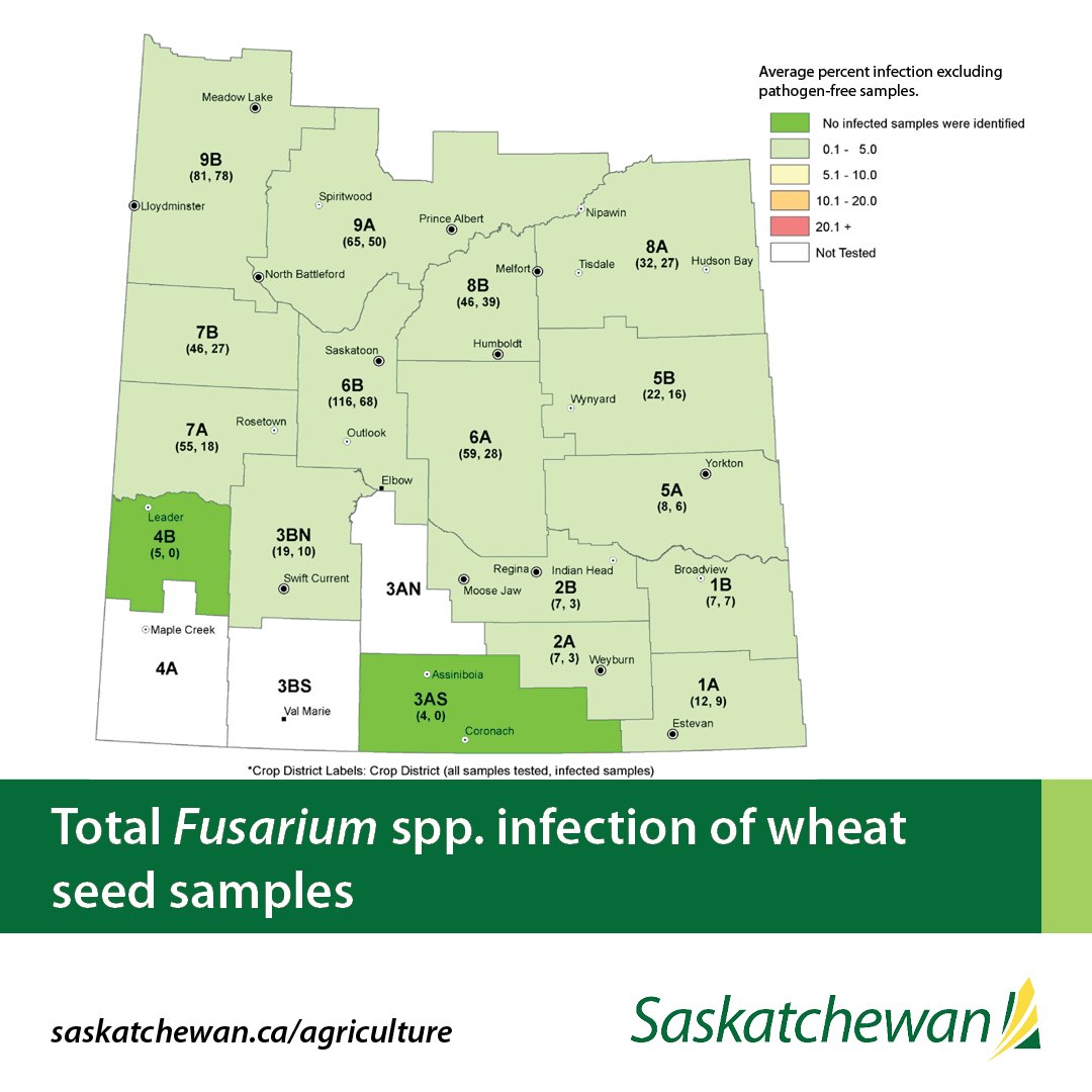 #DYK we partner to create to show germination and seed borne pathogens on seed grown during the previous growing season? Find maps online at saskatchewan.ca/business/agric… 

#SaskAg