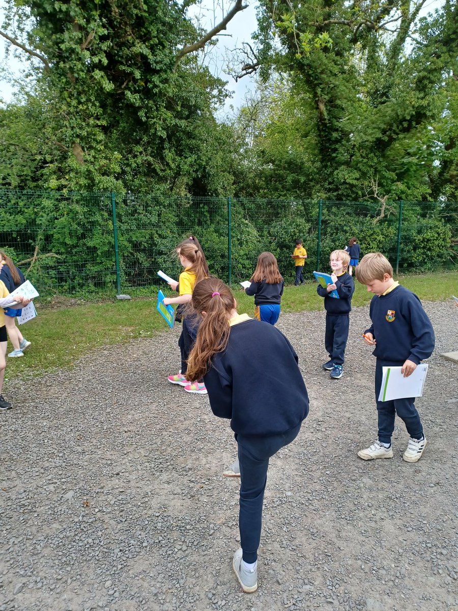 MsONeills4thStc's tweet photo. As part of Wellness Wednesday, we got out into nature and carried out a Nature Scavenger Hunt! ☀️🐛🕸🐞🌿🌸 @ConlethSt https://t.co/QIxnKrtYMV