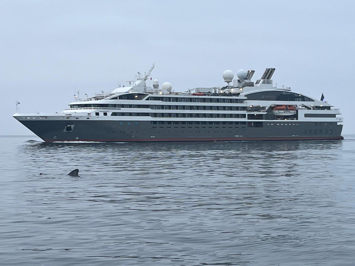 Passengers onboard cruise ship Le Boréal were greeted by a basking shark on their journey through Cork Harbour today. 🛳👋🏻 If you look closely, you can spot the shark's fin in the water below. 🦈 📸 Noel Duggan