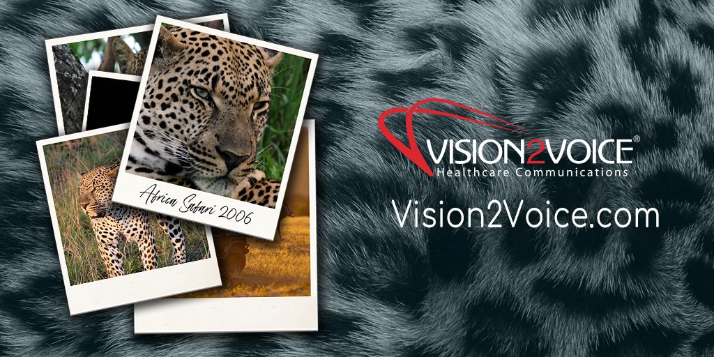 V2V helps our BioPharma clients to attack their brand's vision and give it a voice that truly roars.  

See how in this short video: 

vision2voice.com/news-resources…
