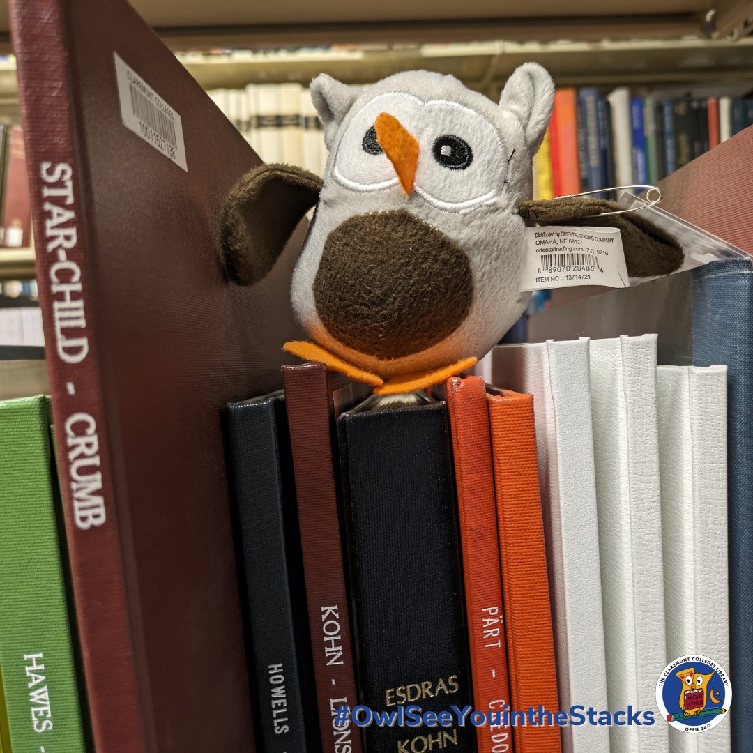 🦉 #OwlSeeYouInTheStacks: LAST CHANCE to assist us with finding owls that have hidden throughout the Library! If you find one, bring it to the Main Services Desk to redeem your #NightOwls prize by end of day May 9!