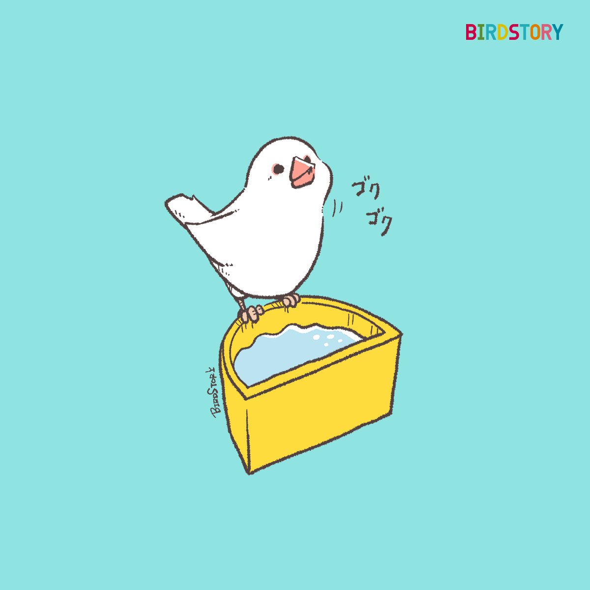 おはようございます。
本日は5月9日、語呂合わせから、ゴクゴクの日とのことです🐣
#BIRDSTORY 
#ブンチョウ