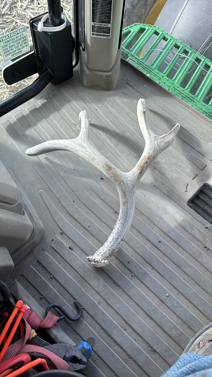 Not today tire guy……..