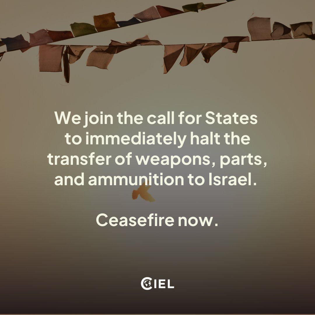 We call on the international community to take immediate & strong measures to ensure Israel complies with the ICJ’s precautionary measures & to ensure accountability for international crimes already committed. #AllEyesOnRafah 📖 more bit.ly/3w8bBpv