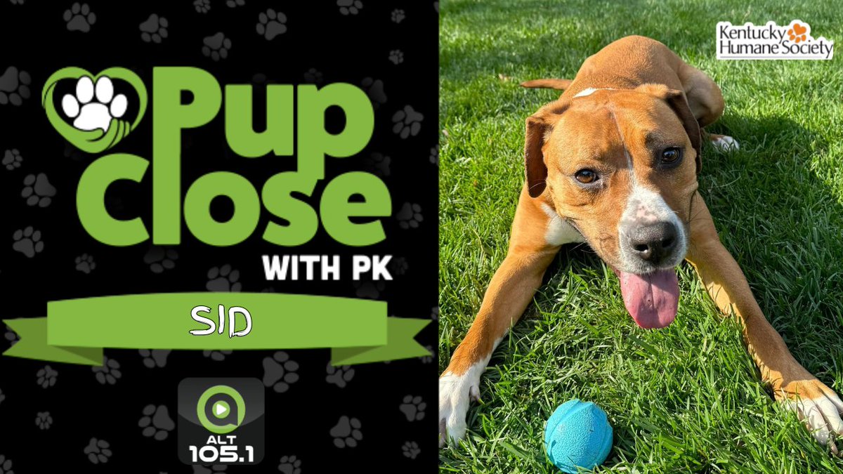 Sid is our #PupCloseWithPK and @kyhumane star for the week! His adoption fee is waived through 5/15 thanks to the BISSELL Pet Foundation! Grab more info on how to add Sid to your family at the link below!

alt1051.com/pup-close-with…