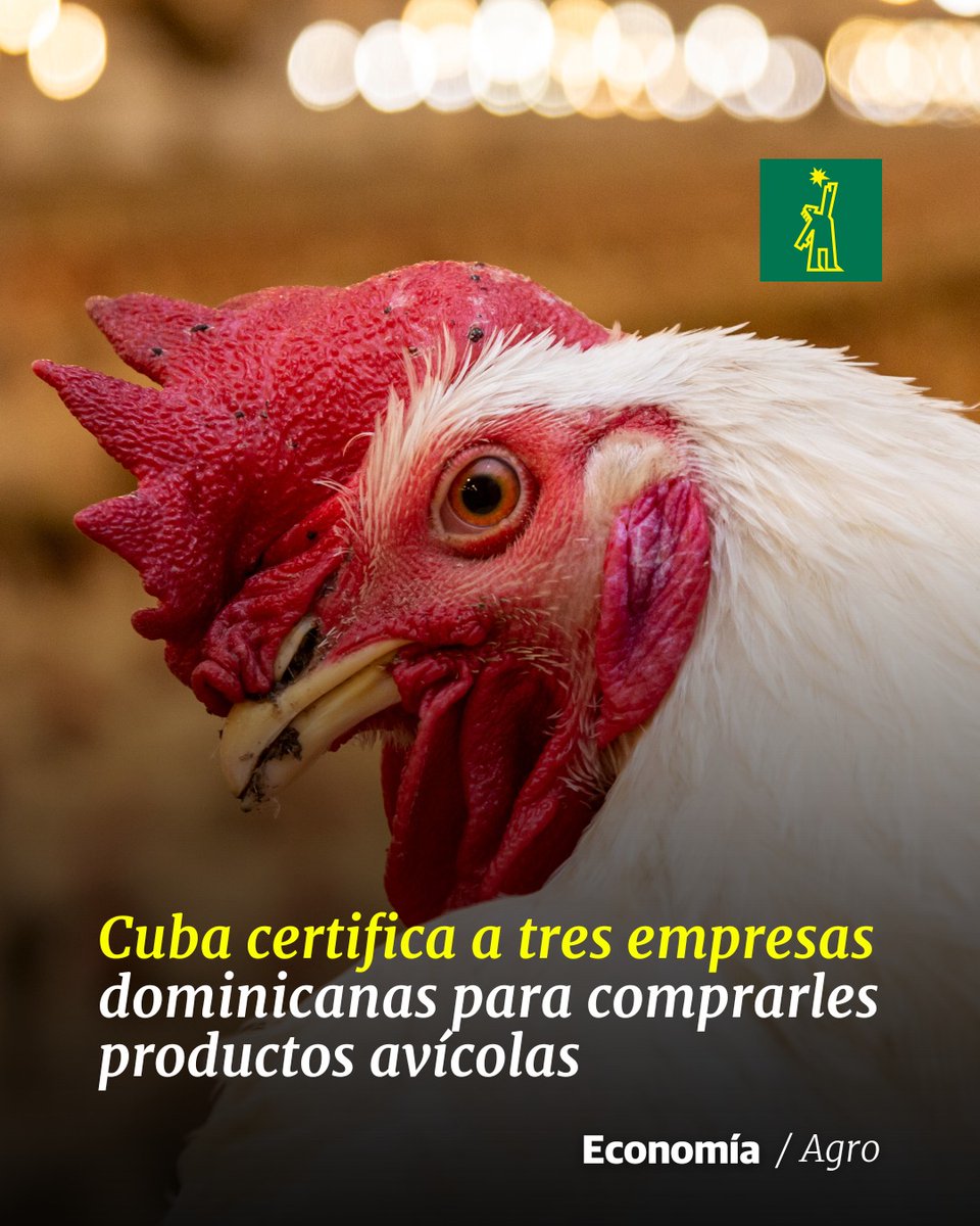 🌱 |#AgroDL| El mercado cubano está interesado en conseguir pollos, huevos y alimentos procesados

🔗ow.ly/gZVF50RzUJr

#DiarioLibre #Cuba #EmpresasDominicanas #ProductosAvícolas