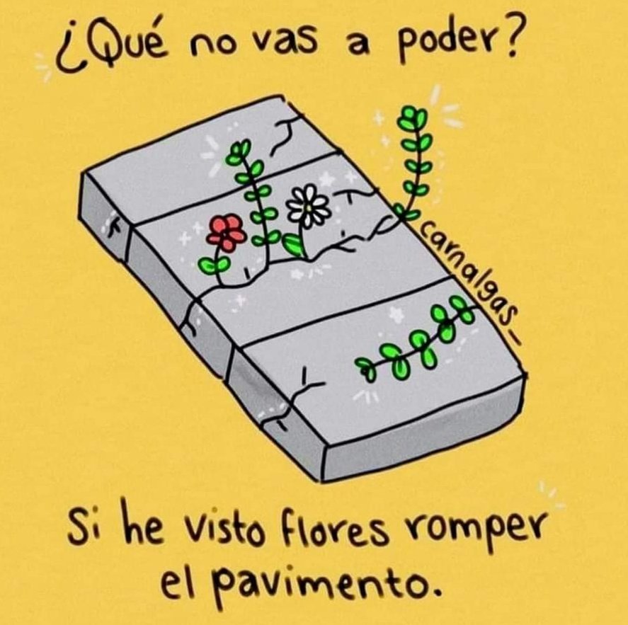 Laura Rivas tweet media