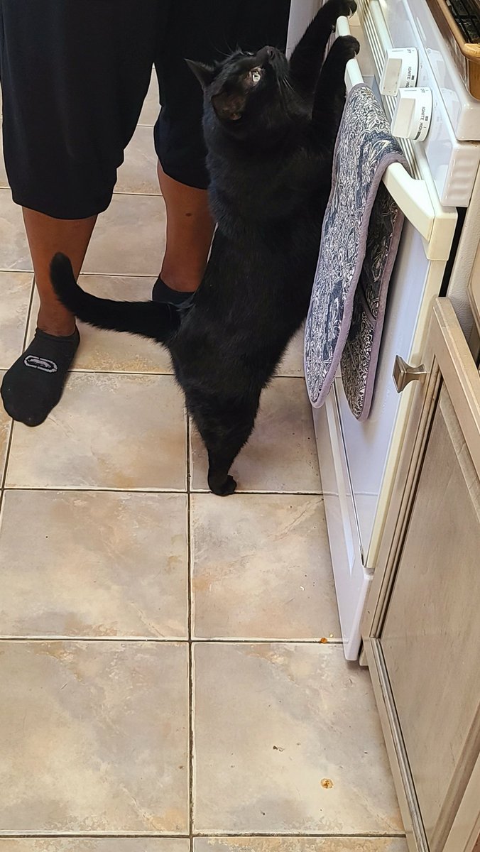 Non-Ironically T.V.'s B. Dave Walters - EVERYWHERE tweet media