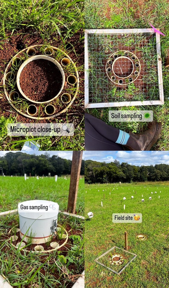 🔎Investigating soil microbial resistance & resilience to drought: Wollongbar soils team using their legacy biochar site (est. 2006) to characterise effects of management on agroecosystem resilience 
@nswdpi @SoilCRC 

#SustainableAgriculture