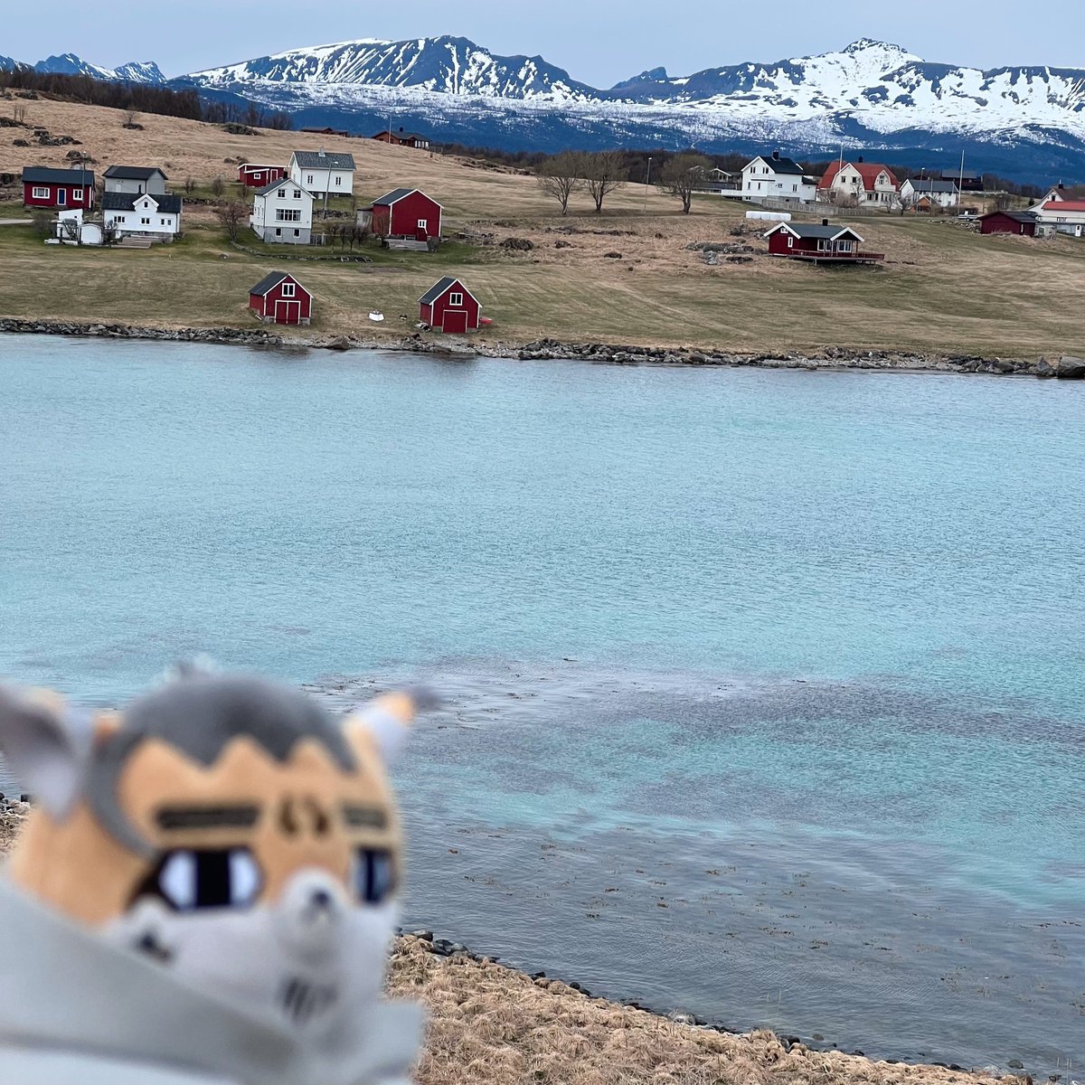 _ichste's tweet photo. 🏔️ https://t.co/NkAtni2hBF
