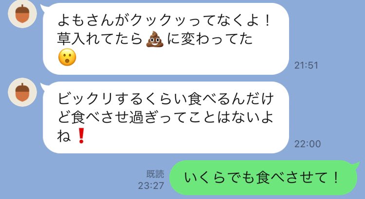 GW旅行の際に母によも氏を預けた時のLINEが新鮮且つ

「掃除したらピョンピョン跳ぶのよ！！だから下のすのこに足を引っ掛けて骨折しないように急いでシーツを変えたから端っこまで掃除仕切れなかったかも😂」

って言われてよも氏の強メンタル故にかけた気苦労もあったようで申し訳ないwwww