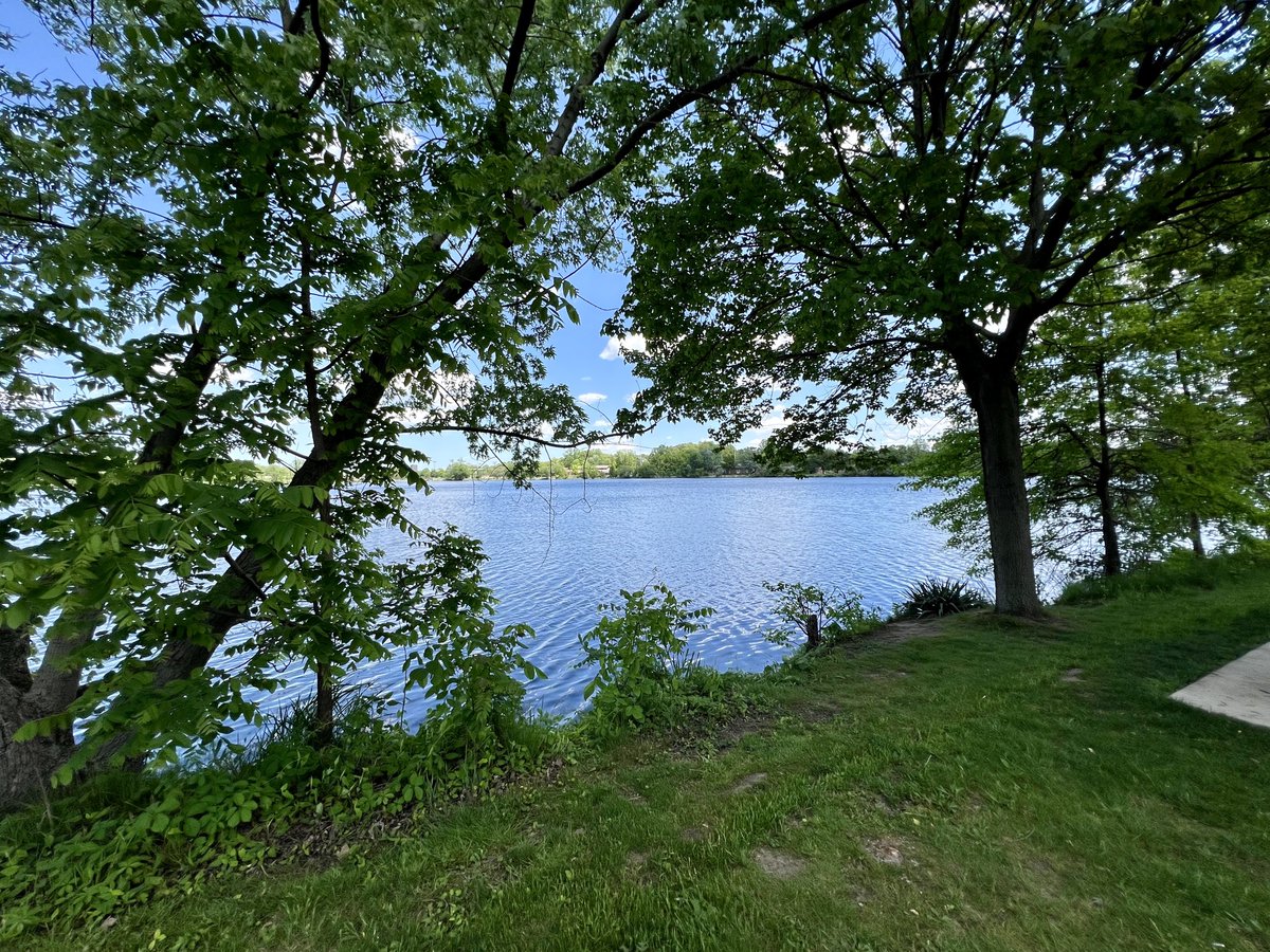 Another gorgeous day …….. 🚴🏻🚴🏻🚴🏻🚴🏻☀️ 

#MayMiles #BikeLife 
#BikeAdventures
#RideOn 
#CyclingAdventures
#PedalPower #BikeLove
#Cycling #BikeRide
#FreshAirandFreedom 
#GoodForTheMindBodyandSoul