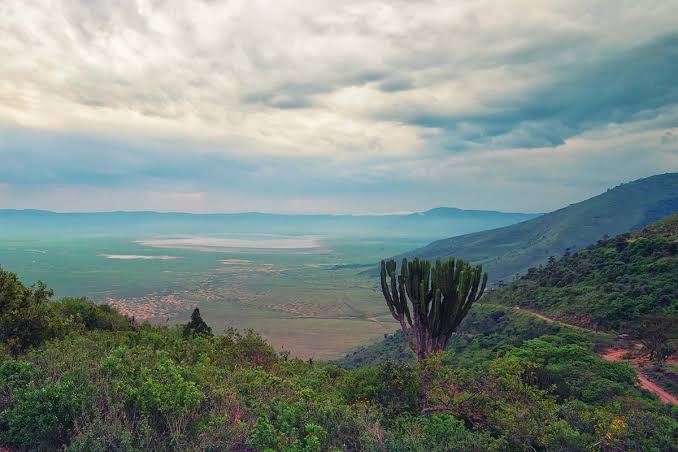 ODONYO MURWAK, 

Its a sacred hill in Tanzania's Hai District, is where Maasai tribes hold pivotal coming-of-age ceremonies every 12-14 years. These rituals mark a transition into elderhood, shaping Maasai society for generations. #MaasaiCulture #TanzaniaHeritage
