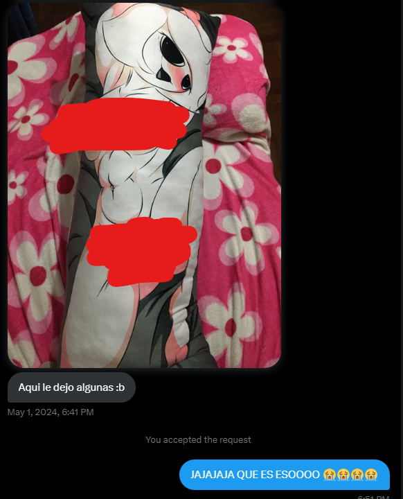 ALGUIEN HIZO UN DAKIMAKURA DE XIARO RULE JAJAJA