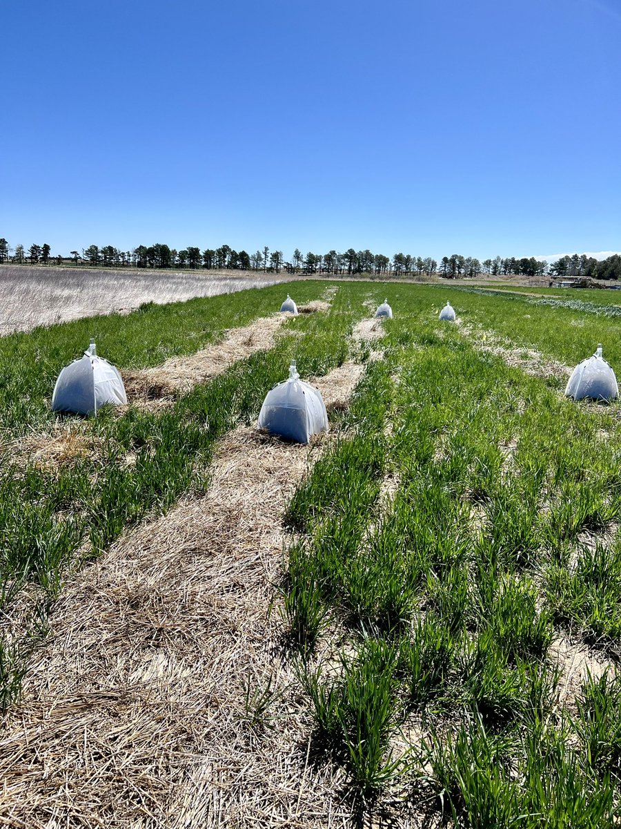 Jeff Bradshaw 🌾🐞 tweet media