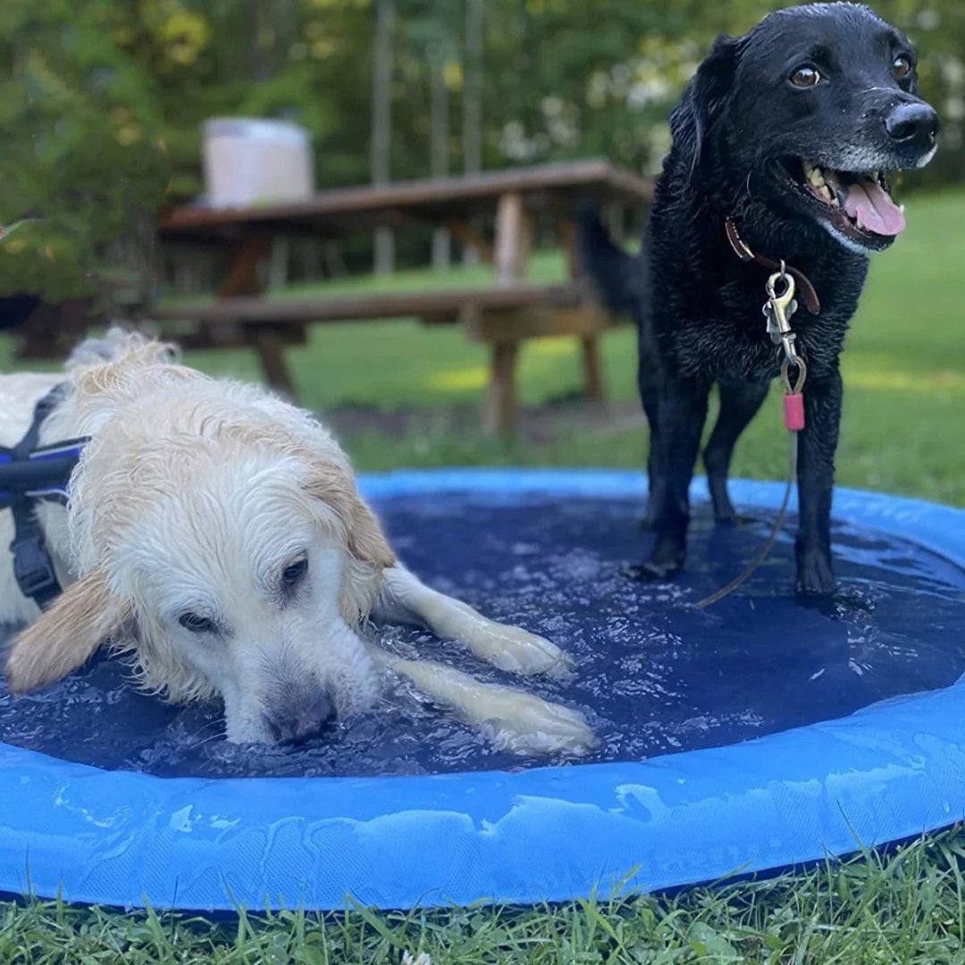 Beat the heat with our Cooling Splash Pad! Perfect for water play of your doggos!

Order now and make unforgettable summer memories with your pet! 🌞🐕💧 petpalsparlor.com/collections/to…

#petsummer #summer #petlife #petparent #dogstagram #doglover #happydogs #petpalsparlor