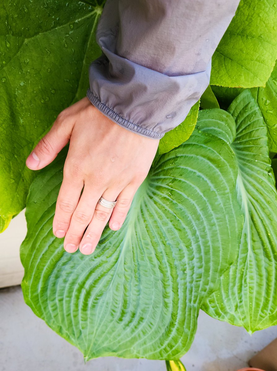 요로결석의요정 tweet media