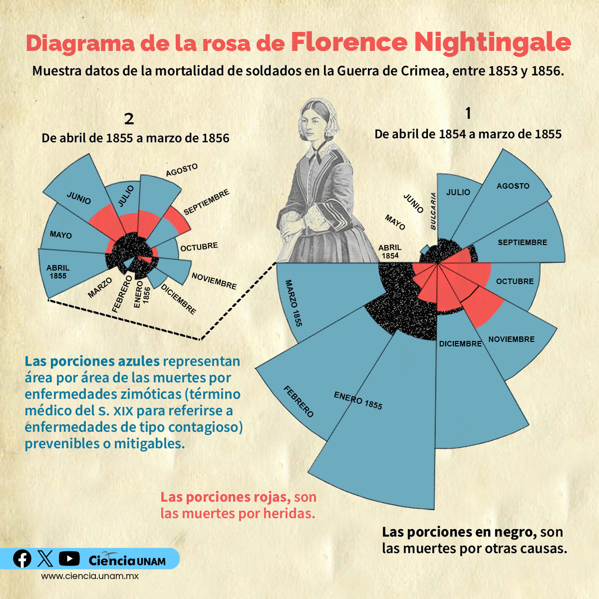 #Salud | En el #Día Internacional de la #enfermera y el #enfermero, te dejamos información sobre una gran teórica y practicante del cuidado de las personas heridas o enfermas: Florence #Nightingale lc.cx/lrmUkt