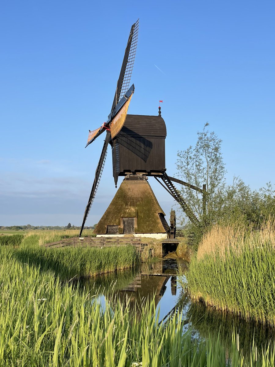 JanineBos's tweet photo. De Uitwijkse molen voor en na een nieuwe roede. #molen #uppel #uitwijksemolen #foto https://t.co/yMtjWgjbPi