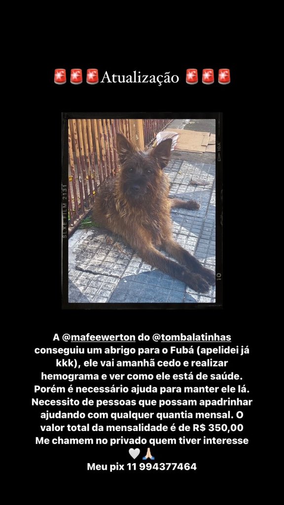 notthatlua's tweet image. Amigos me ajudem por favor 🤍🙏🏻