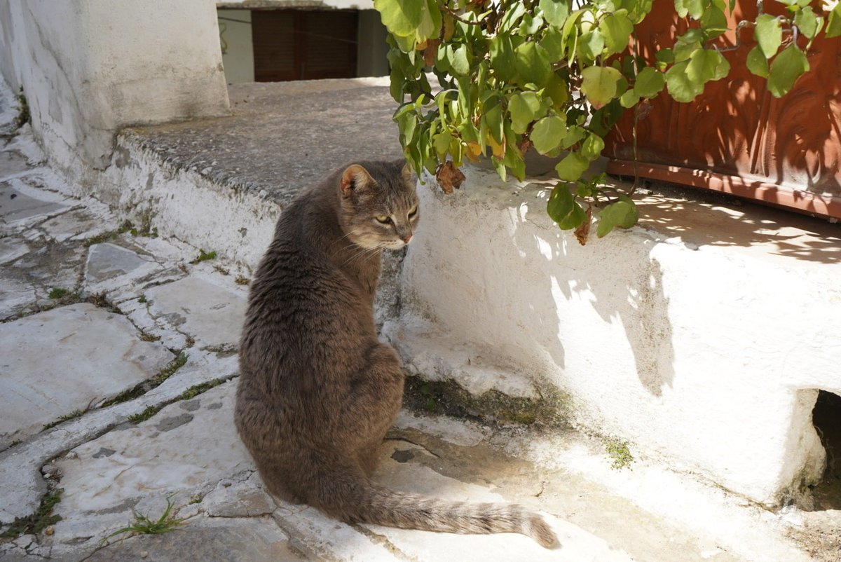 【お手伝いいただける方】
旅行のお仕事お手伝いいただける方✨
内容により宿へのフリーステイ、追加で報酬お渡しもできるかと思います！
旅慣れていて責任感のある方！
よろしくお願いします✨